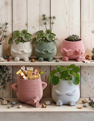Succulent Planters