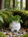 Succulent Planters