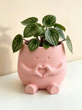 Succulent Planters