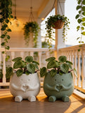 Succulent Planters